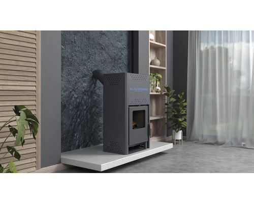 Șemineu Blautherm în camera de zi cu raft, plante și perdele