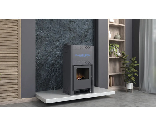 Living modern cu sobă, raft și plante de interior.