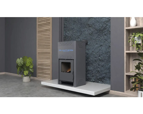 Șemineu modern Blautherm într-o cameră de zi cu plante și detalii din lemn.