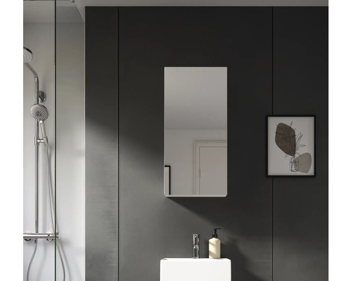 Baie cu duș, lavoar, dulap cu oglindă și tablou