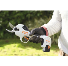 O persoană ține în mână un foarfece de pomi cu acumulator Stihl ASA 20.