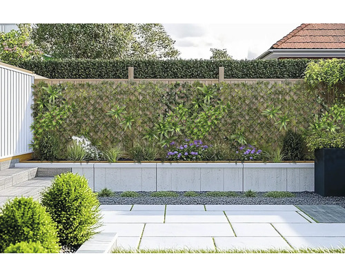 Scenă de grădină cu paravan de intimitate, zid plantat și podea pavată