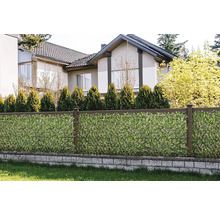 Imitație gard viu/ paravan cu frunze Bambus Gardenia 90x180 cm verde