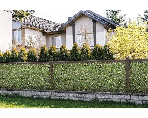 Gard de grădină cu covoraș de intimitate și casă în fundal