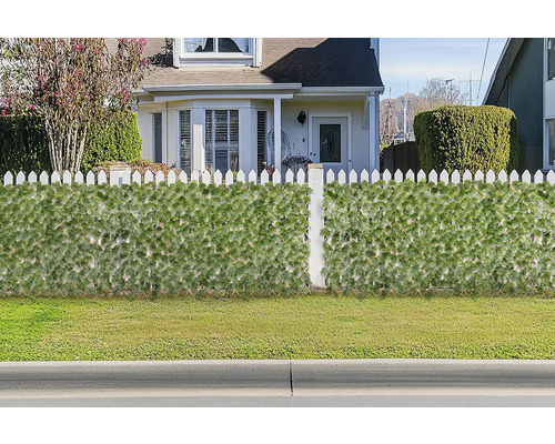 Gard decorativ cu motive vegetale în fața unei case