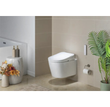 Baie cu toaletă cu duș suspendată, telecomandă, suport pentru hârtie igienică, decorațiuni și covor de baie