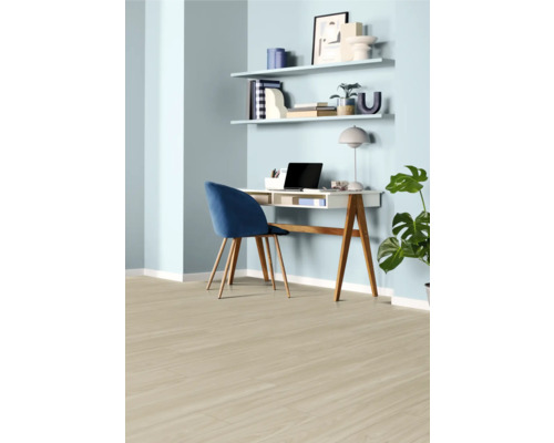 Birou luminos cu birou, scaun, rafturi și plantă de apartament