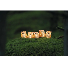 Cinci figurine luminoase de bufnițe din plastic pe un fundal acoperit cu mușchi.