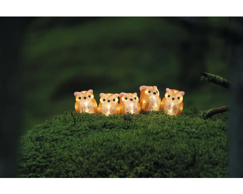 Cinci figurine luminoase de bufnițe din plastic pe un fundal acoperit cu mușchi.