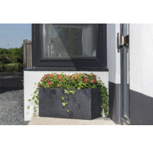 Jardinieră cu petunii verticale în fața unei ferestre