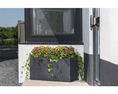 Jardinieră cu petunii verticale în fața unei ferestre