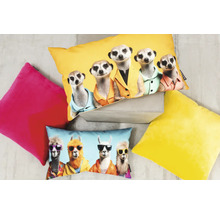 Perne decorative cu motive cu suricate și lame