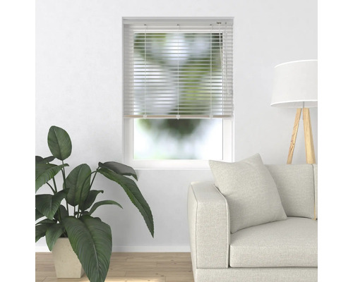 Scenă cu jaluzele, plantă de interior și canapea