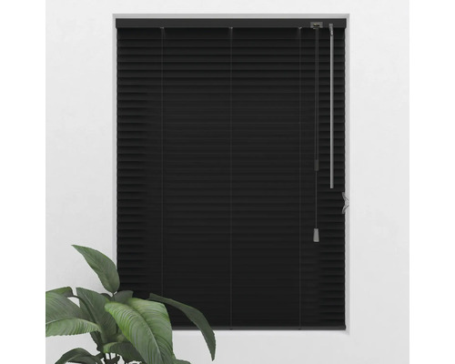 Jaluzea neagră închisă la fereastră cu plantă