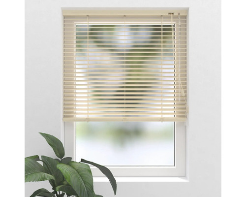 Fereastră cu jaluzele orizontale pentru reglarea luminii