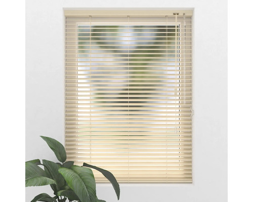 Fereastră cu jaluzele orizontale și plantă de interior