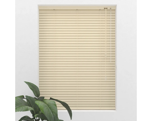 Fereastră cu jaluzele închise și plantă de apartament