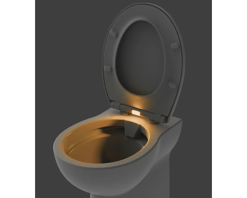 Toaletă cu capac deschis și iluminare integrată