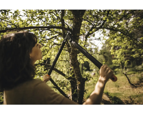 Femeie taie un copac cu un foarfece de crengi cu angrenaje.