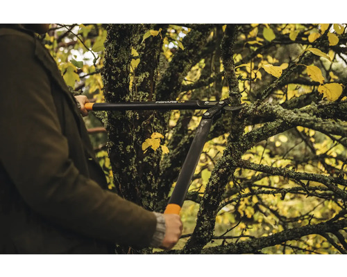 O persoană taie crengi dintr-un copac cu o foarfecă de grădină Fiskars.