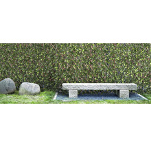 Imitație gard viu/ paravan cu frunze Bambus Gardenia 90x180 cm verde