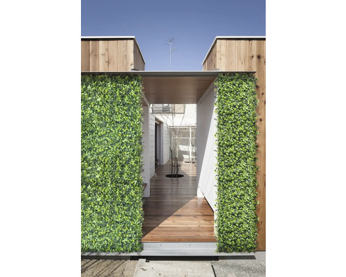 Perete decorativ verde din plante la intrarea unei case cu podea din lemn