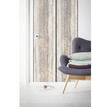 Fototapet vlies 6038A-VD1 Rose Panel 100x250 cm
