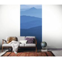 Design interior cu canapea, covor, glob pământesc și fototapet cu motiv montan