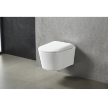 Toaletă suspendată din ceramică în baie