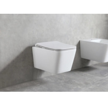 Toaletă suspendată cu capac și bideu în baie