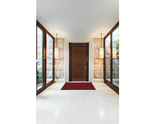 Zonă de intrare luminoasă cu ușă din lemn și covoraș roșu