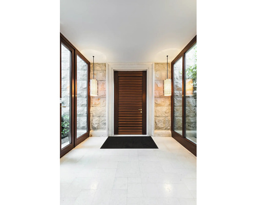 Zonă de intrare cu ușă din lemn, ferestre din sticlă și iluminat