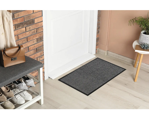 Scenă cu o covorașă de ușă în fața unei uși, un suport pentru pantofi și obiecte decorative.