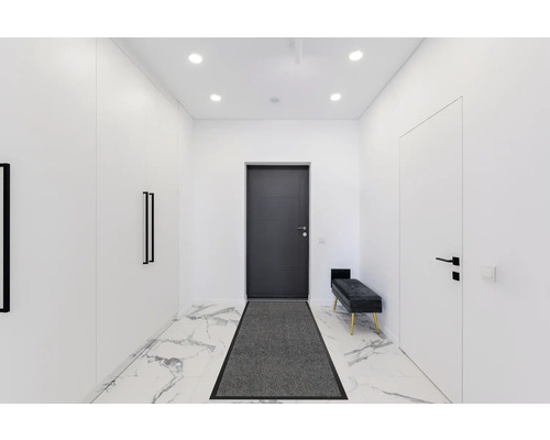 Hol luminos cu dulap, ușă de intrare, ușă interioară, bancă și covoraș de intrare