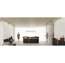 Spațiu comercial luminos cu recepție, iluminat de tavan și manechine