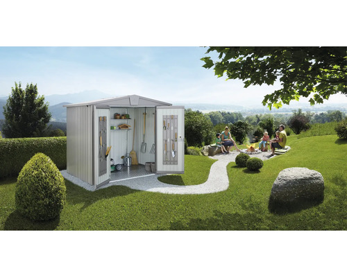 Magazie grădină Biohort Europa 6 metal 244x300 cm argintiu metalizat