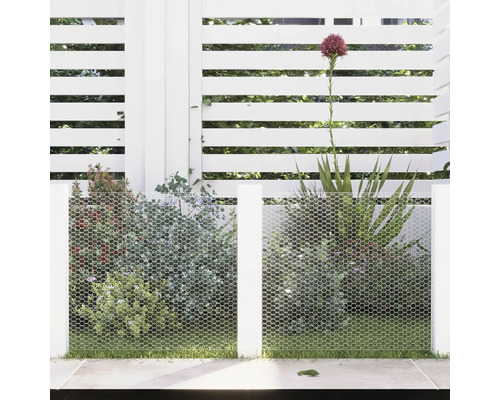 Scenă de grădină cu gard alb, plasă de sârmă și plante