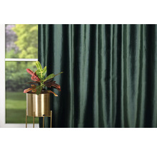 Cameră decorativă cu plantă de interior în ghiveci auriu și perdea