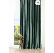 Perdea decorativă, de culoare închisă, în fața unei ferestre cu o plantă de interior pe un suport de plante.