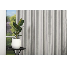 Atmosferă decorativă de locuit cu perdea, masă și plantă la ghiveci