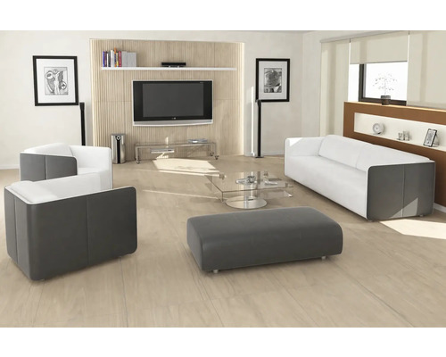 Cameră de zi cu canapea, fotoliu, taburet, măsuță de cafea și televizor