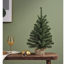 Brad mic de Crăciun neîmpodobit pe o masă