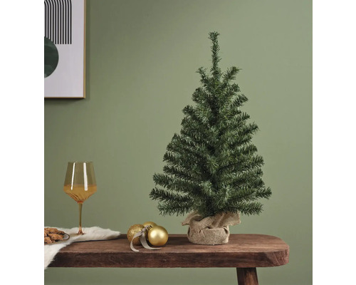 Brad mic de Crăciun neîmpodobit pe o masă