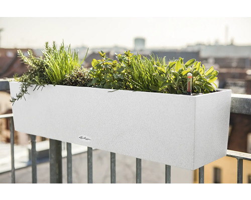 Jardinieră de balcon albă cu ierburi aromatice pe o balustradă de balcon