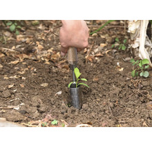 O persoană plantează o plantă mică cu un plantator în pământ.