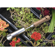 Plantator bulbi din metal cu mâner din lemn printre plante