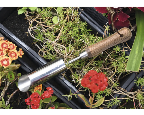Plantator bulbi din metal cu mâner din lemn printre plante