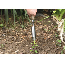O persoană plantează un răsad în pământ cu un plantator.