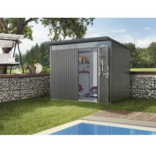 Scenă de grădină cu magazie de scule, gazon și piscină