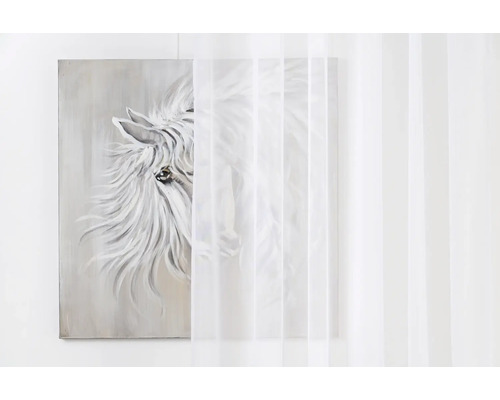 Pânză decorativă cu motiv de cal în spatele unei perdele albe